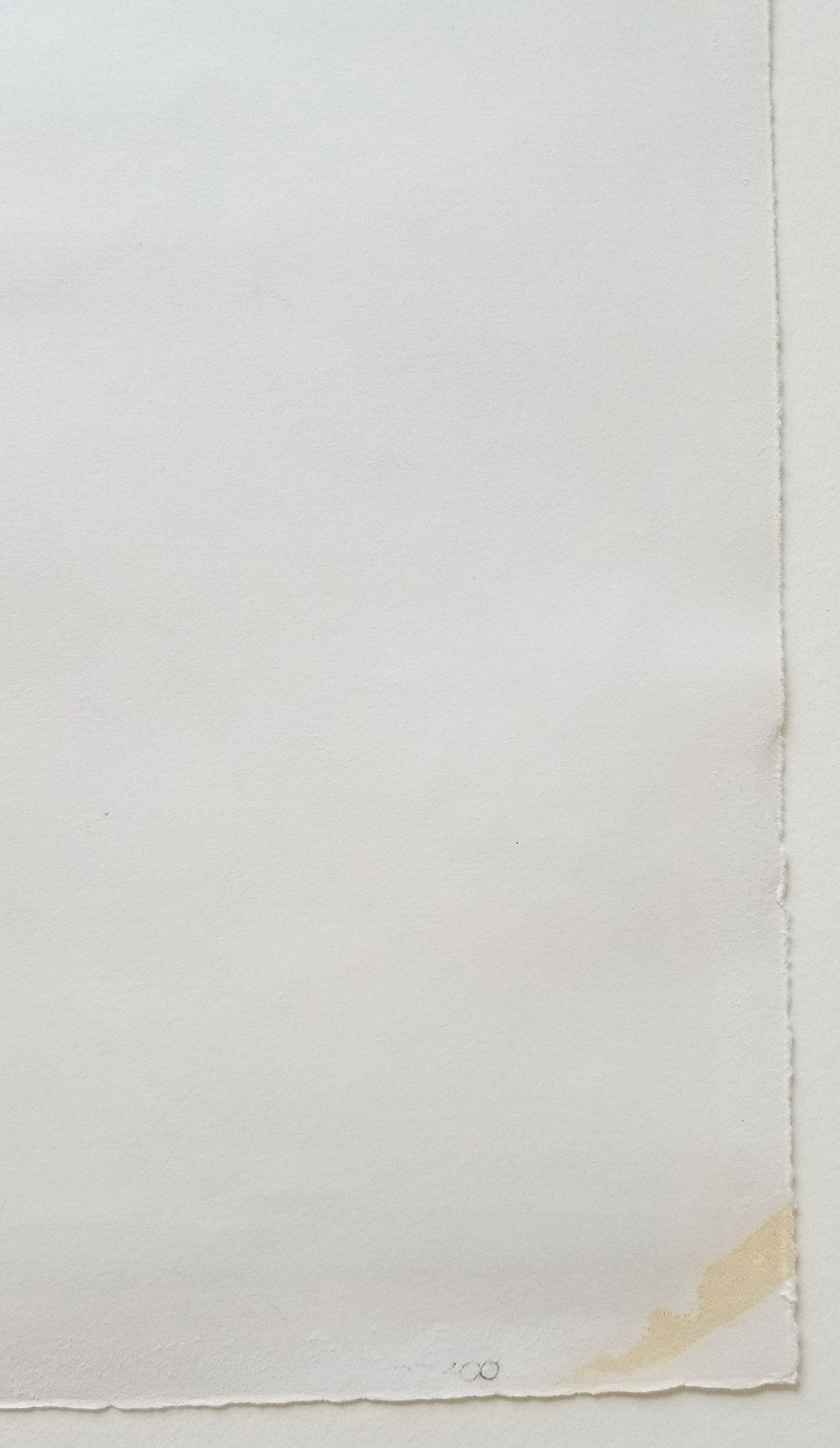 Verso Detail